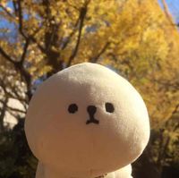 しょうろんぽう