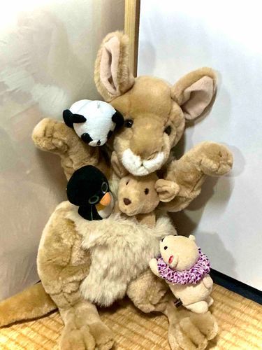カンガルーお母さんのポケットがすっごく人気！
あったかそう、、☺️