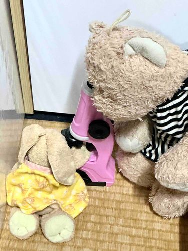 ハーシー)手相見てあげるね！
ルビー)顕微鏡で見るもんなの？
