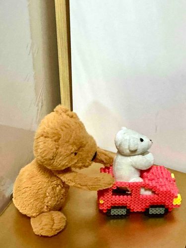 シロ)次はーっ！◯◯町〜っ！
チョコ)それ電車じゃない？