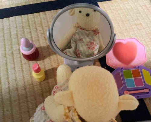 おしゃれは欠かさない✨アイシャドウはどの色にしようかしら、、