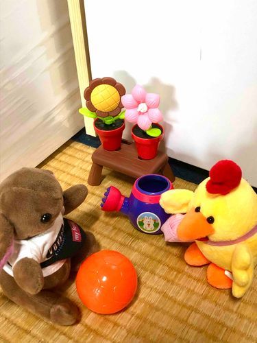 2人でサッカー✨危ない予感しかしない笑