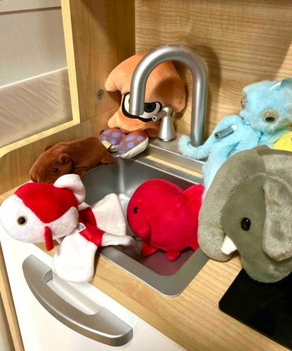 最近暑いですねー！みんな水遊びするためにシンクに集まってます笑