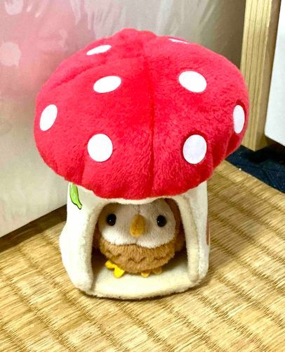 これ、僕のお家！可愛いでしょ✨