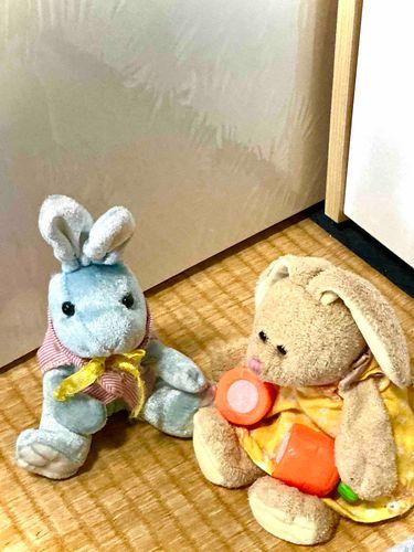 半分こ♪