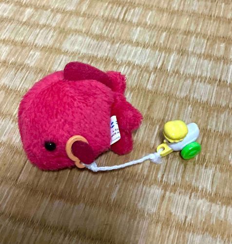 ガァガァちゃんとお散歩してるそうです。