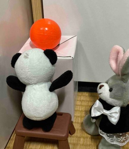 🐇「どぉ？ボールとどきそぉ？」