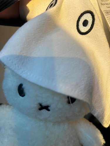 新入りです かわいいって言う名前です