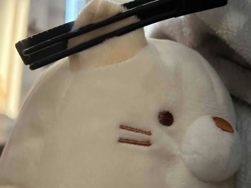 もち
