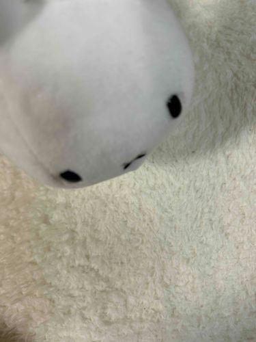 雪です(嘘 全然ふとんです)