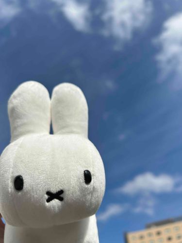 空があおいね