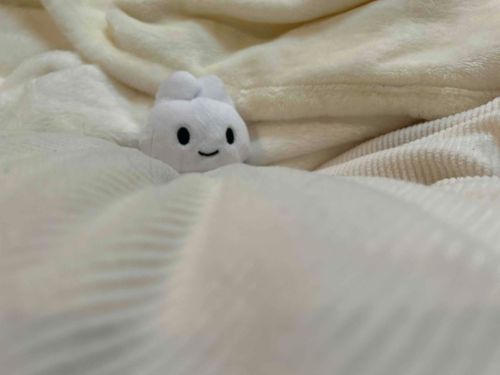 こんばんは 久しぶりです
やっとうちに来てくれました