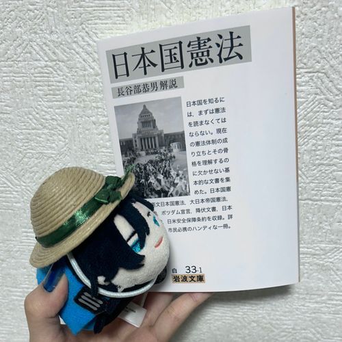オレも日本の最高法規を勉強するよ