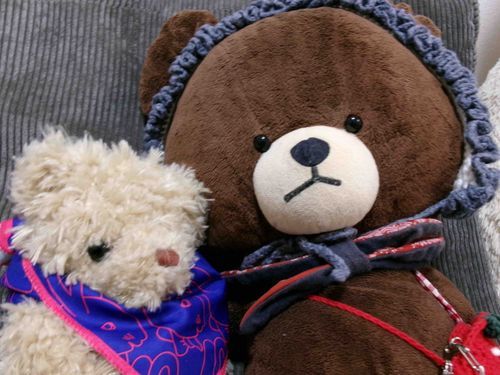 おともだちのこんちゃん🐻
かわいいスカーフ💗