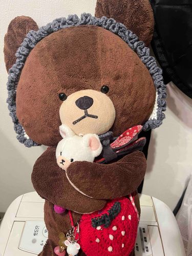 だいすきしてるの！🐻🐻‍❄️