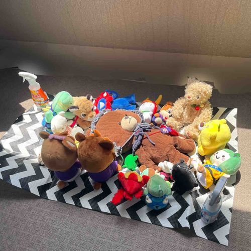 すこしまえのてんきがいいひにみんなでピクニックしたの🧺
ジャッキーがさいしょにねころがったらみんなにかこまれちゃった！
