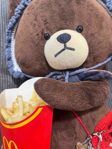 かいぬし、マックたべすぎじゃない？ポテトはあたしがもらっといてあげる🍟