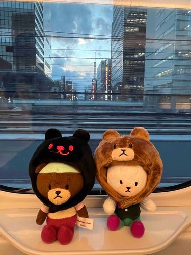 デイビッドとおでかけ🗼
かいぬしがおそろいのぼうしかってくれた🧚🐻