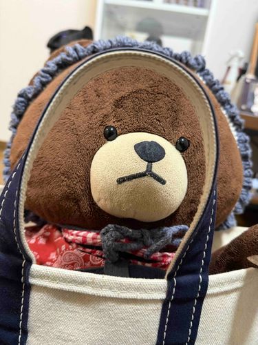 おでかけまだ？🐻