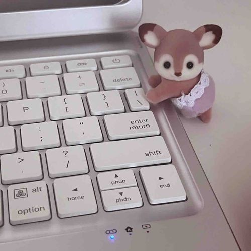 おべんきょ いっしょする