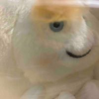 つむぎ☆*:.｡. 