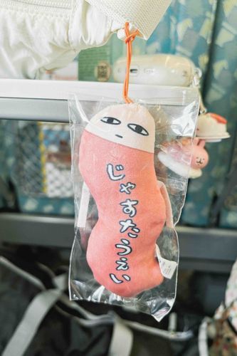 お出かけ日和✨