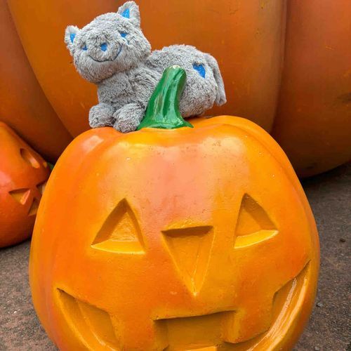ハッピーハロウィン🎃