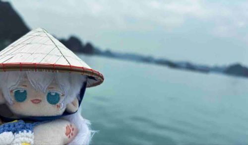 浪人みたい🍁
でも、ドナルドのバッグ