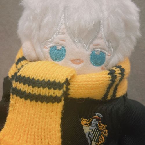 ✨ハッフルパフだ🦡