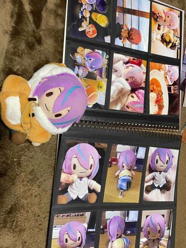 るいぬいのしゃしんをあつめたアルバムを作りました。
るいくんに見せたら、びっくりしていました