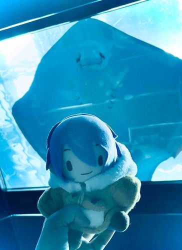 そっくりるいくん