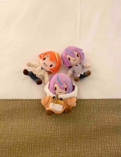 昨晩のへや
みんなでおやすみしました