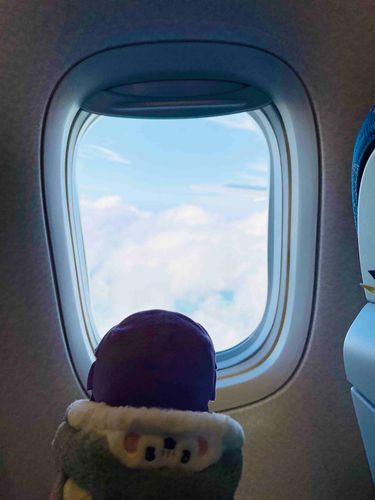 北海道の帰りの飛行機です
空に夢中です✈️