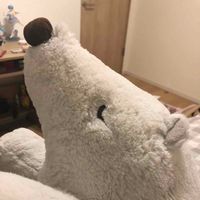 みー
