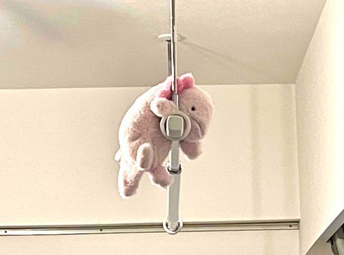 高いとこに吊るされうぱ
