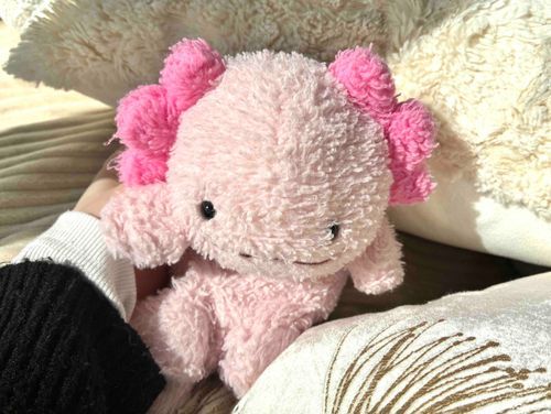 日向ぼっこしなさい