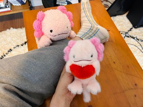 子うぱがきた！！