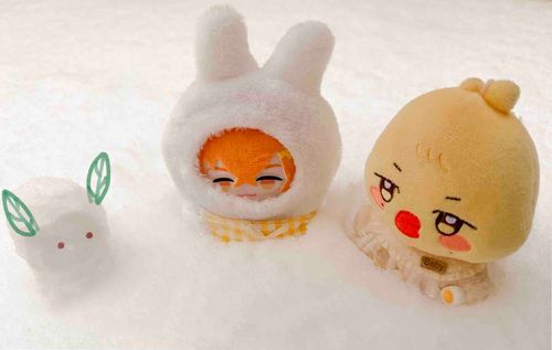 🐇たちとひよこ（ラップできちんと保護しました）