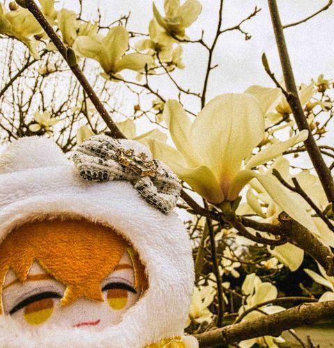 おはながきれいだね
