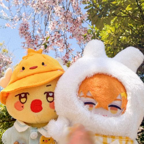 1年生🌸と1匹🐇⸒⸒