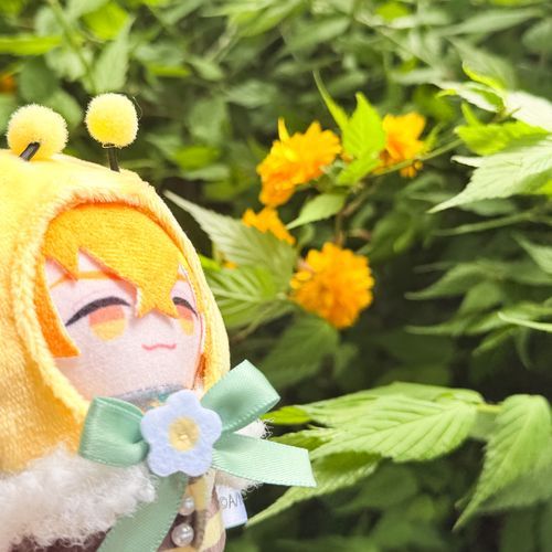 🌼🐝