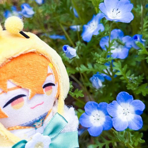 ネモフィラが気になるはちさみ🐝𓂃𓈒𓏸︎︎︎︎