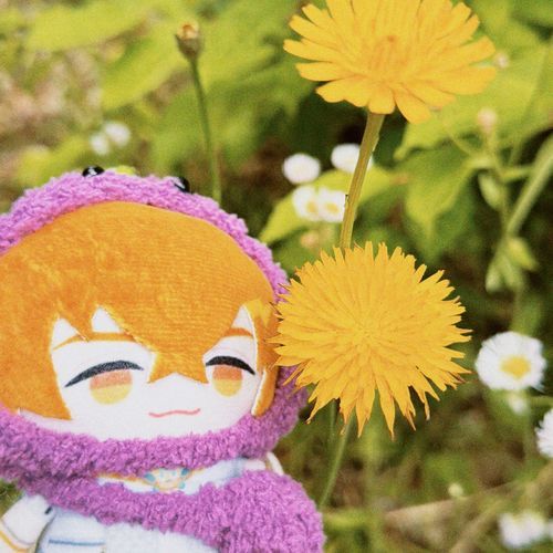 たんぽぽと🍆