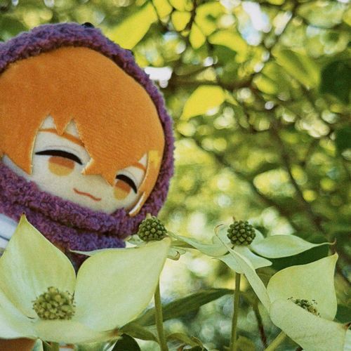 じ……