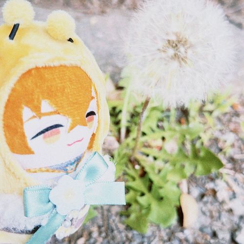 ふわふわ