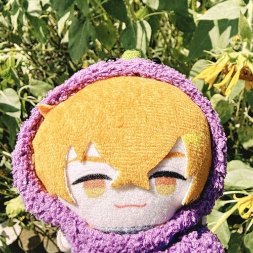 🌻が枯れ始めてた
