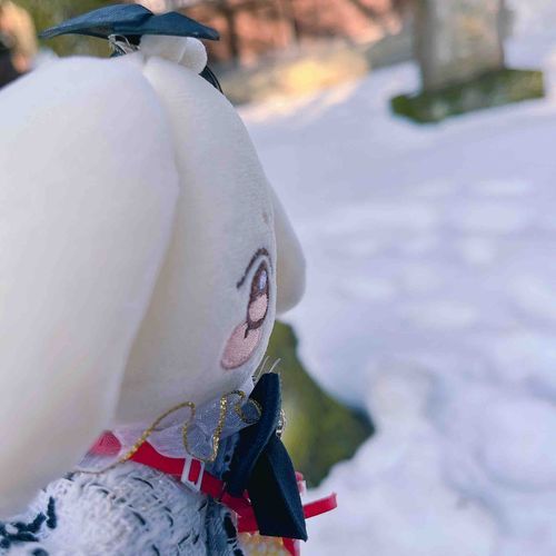 ﾕｷ…………