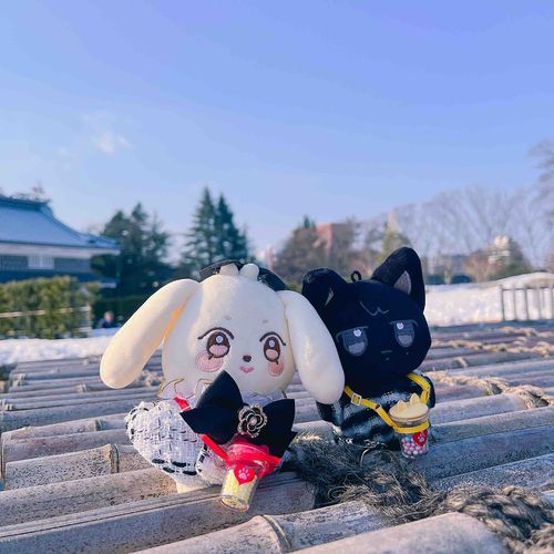 🐈‍⬛ｵｼﾛ、ｵｵｷｲ
🐶ﾕｷｰ!!!ｺﾞﾛﾝ､ﾀﾞﾒ???