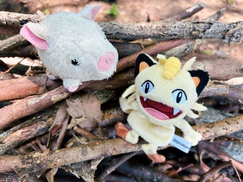 ニャースのたこやき君と遊んでるの！
外はとっても良い天気〜！☀️
日差しは強いけど今日は風が心地いいよ〜✨