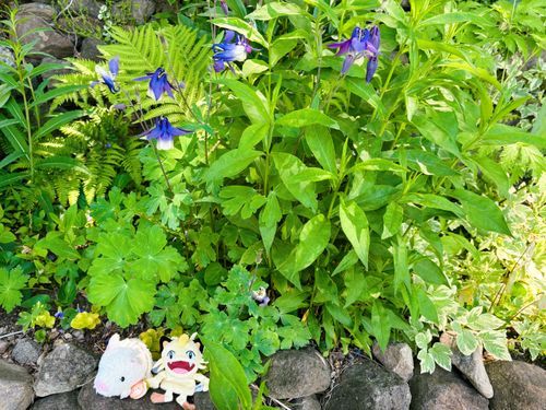 大きいなぁ〜！✨
太陽が眩しいよ〜